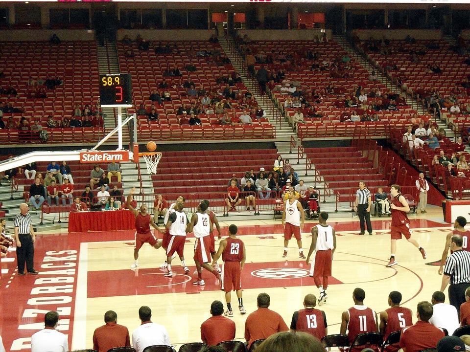 乐鱼体育 · 夜赛现场（资料示意）